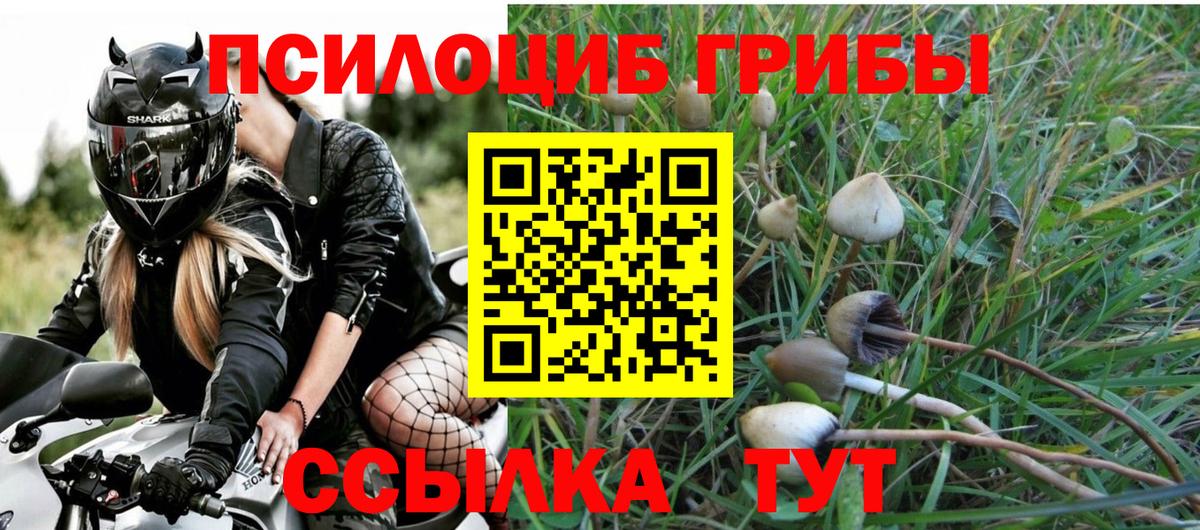 Ипатово  Псилоцибиновые грибы Cubensis  Вход с VPN  Псилоцибиновые грибы Psilocybe 