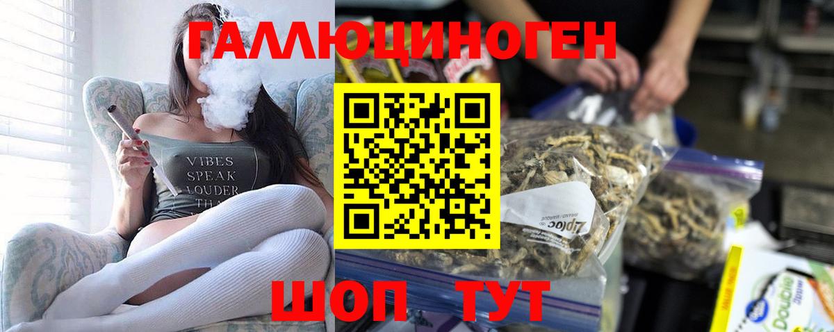 Галлюциногенные грибы GOLDEN TEACHER Ипатово